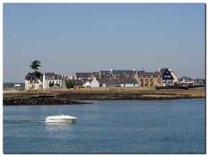 Ile_tudy