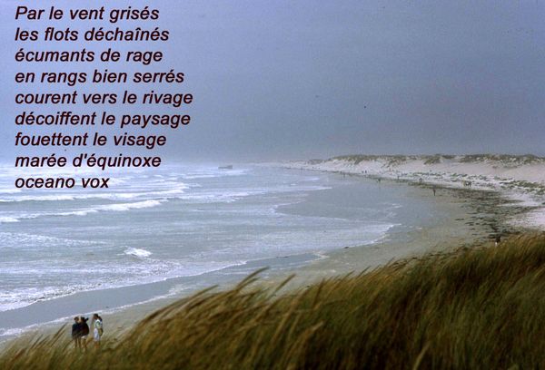 Oceano_vox
