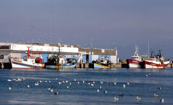 Lesconil