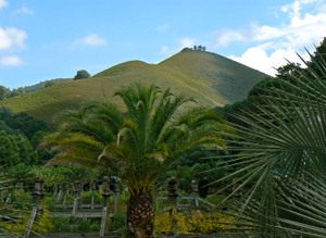 P1050580