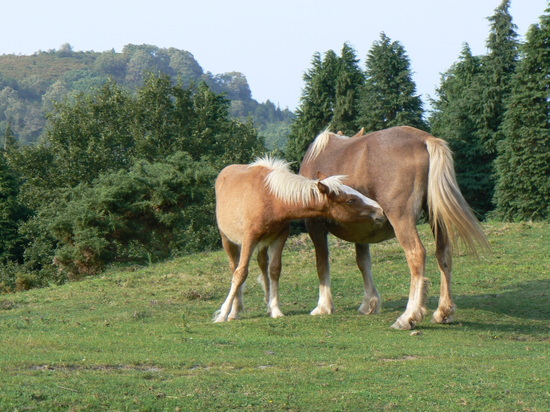 P1050475_2