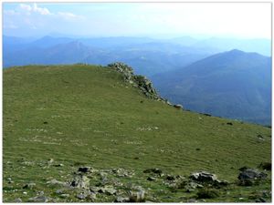 P1050795