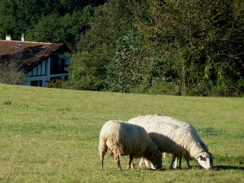 P1050693