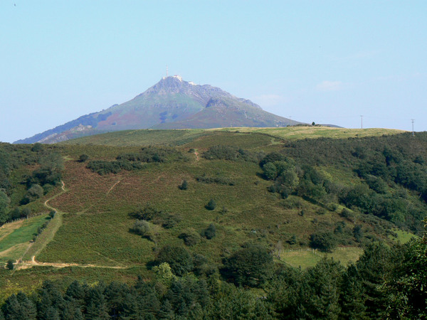 P1050460
