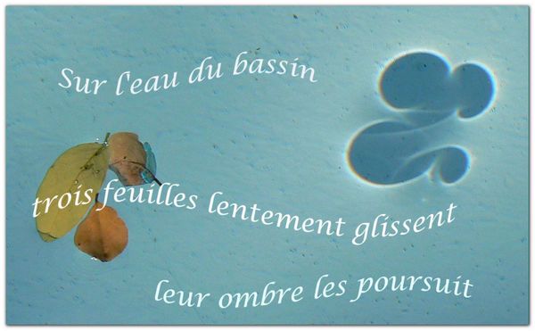 P1050252_copie