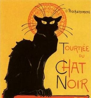 Steinleinchatnoir