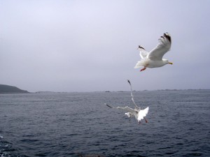 072_les_7_iles