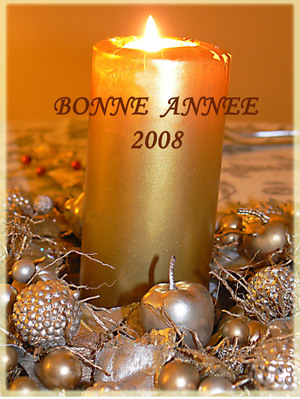 Bonne_anne_2008