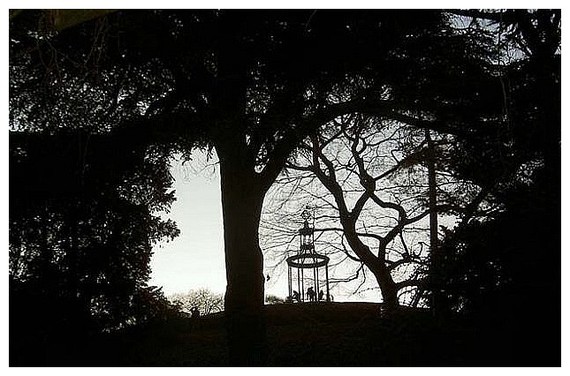 Jardin_des_plantes25