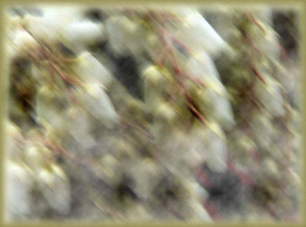 Nuage_de_neige_3
