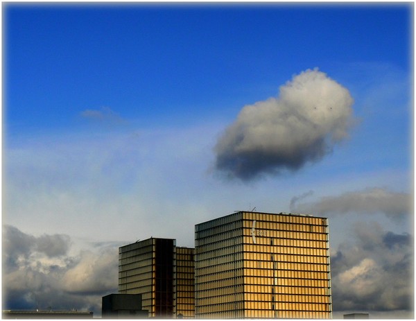 P1090753_4