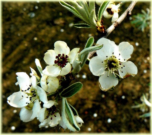 P1100064