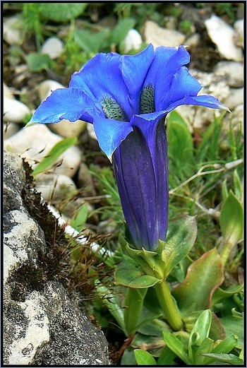 P1100270_3