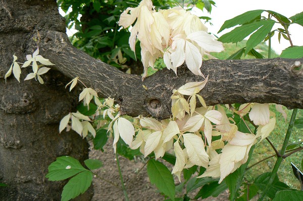 P1110018
