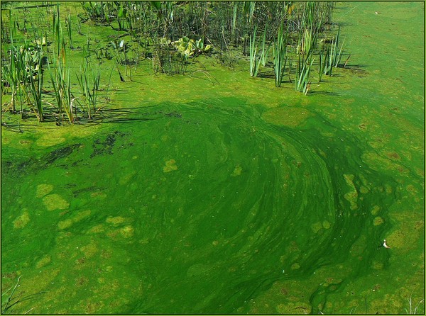 P1110918