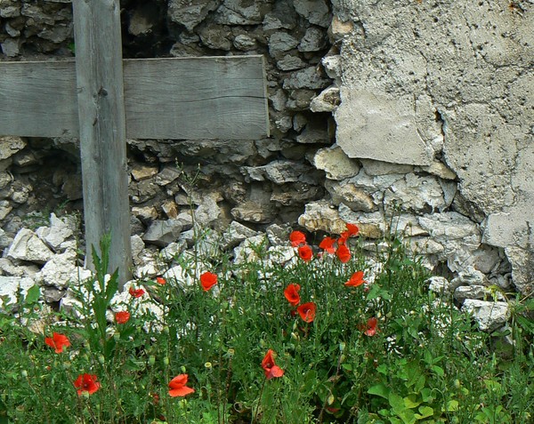 P1110963