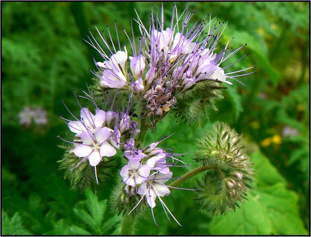 P1110968