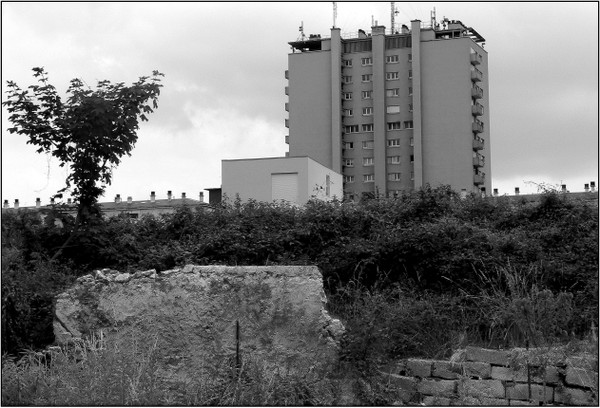 P1110969