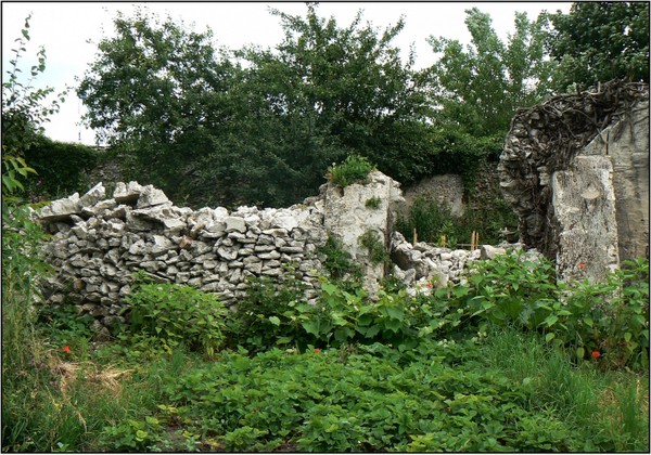 P1110970