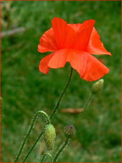 P1110974