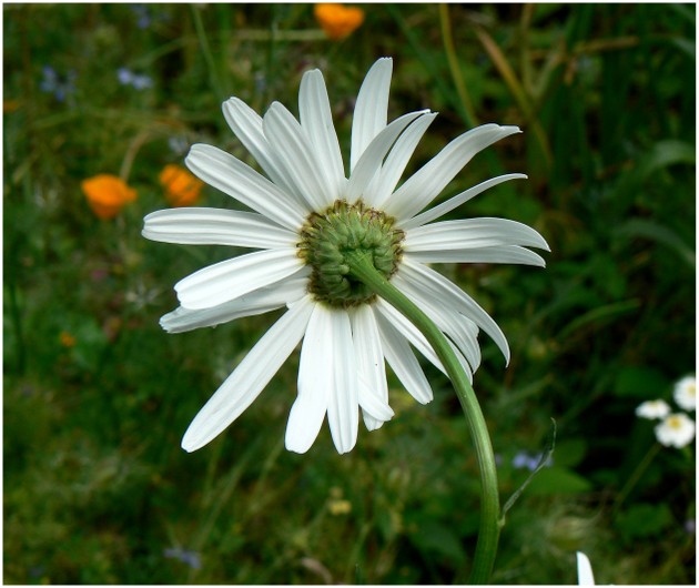P1110996