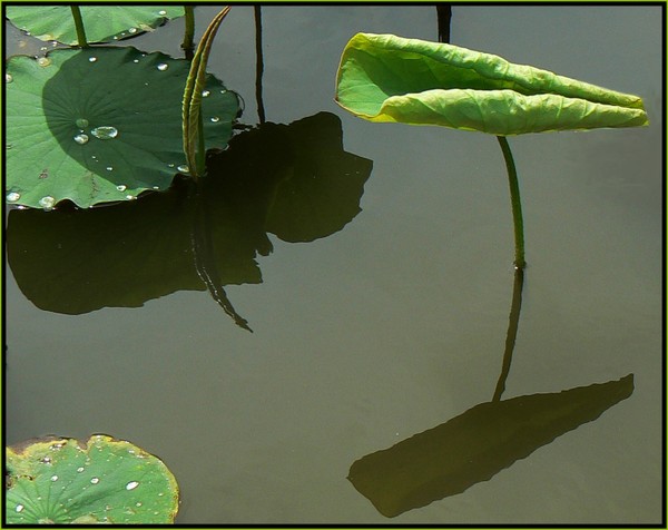 P1110888_2