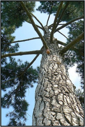 P1100355