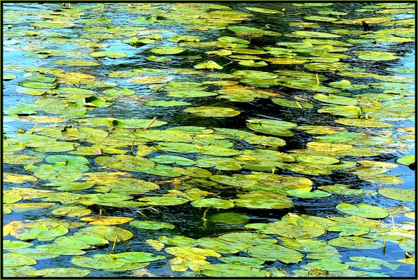 P1120357_3