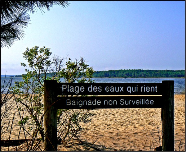 P1050238