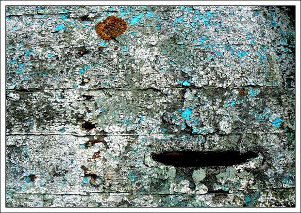 P1130440_3