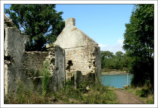 P1120859