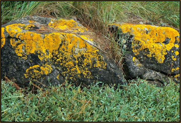 P1120702