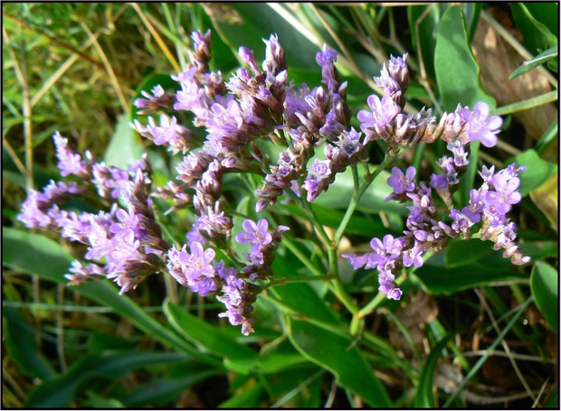 P1120875
