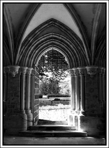 P1130194