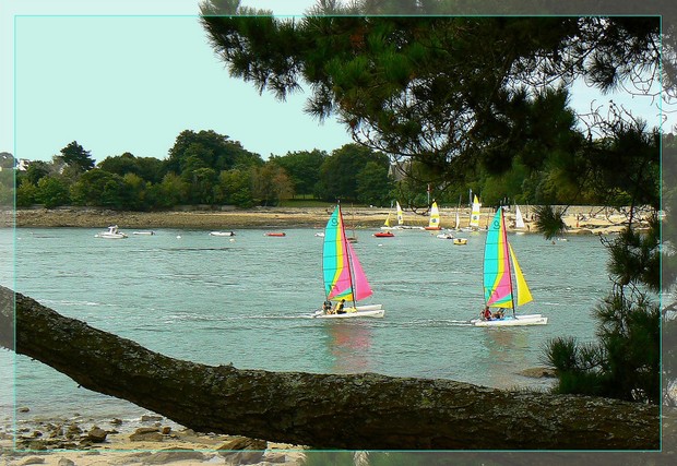 Catamaran_3