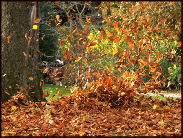 P1140404