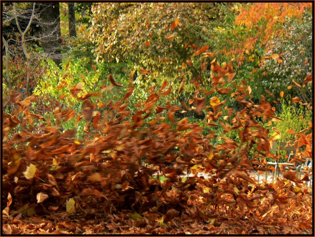 P1140405_2