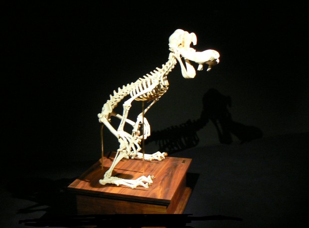 P1140861