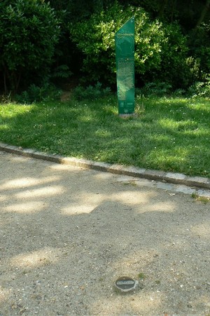 P1110619_2