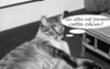 23olive_5