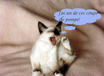 3coup_de_pompe_2