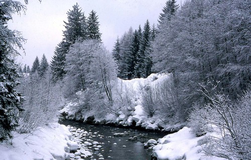 Arve1_1