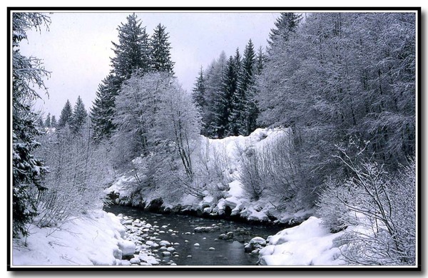 Arve2_2