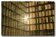 Bnf_1