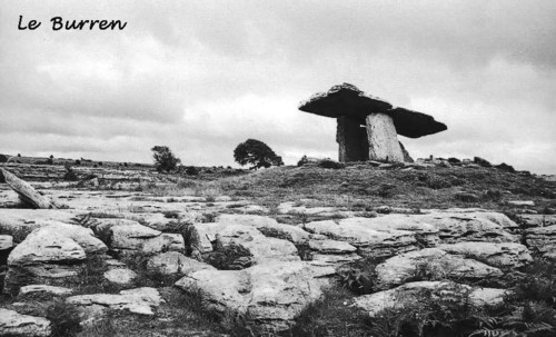 Burren1_2
