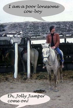 Camargue_4