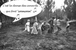 Canards1_1