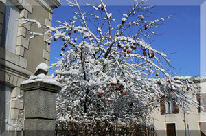 Castel20_1