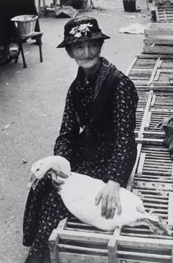Edouard_boubat_2
