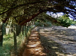 Ile_grande32